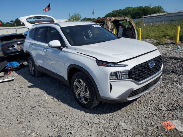 2023 Hyundai Santa Fe Sel VIN: 5NMS2DAJ8PH651629 Lot: 51061554