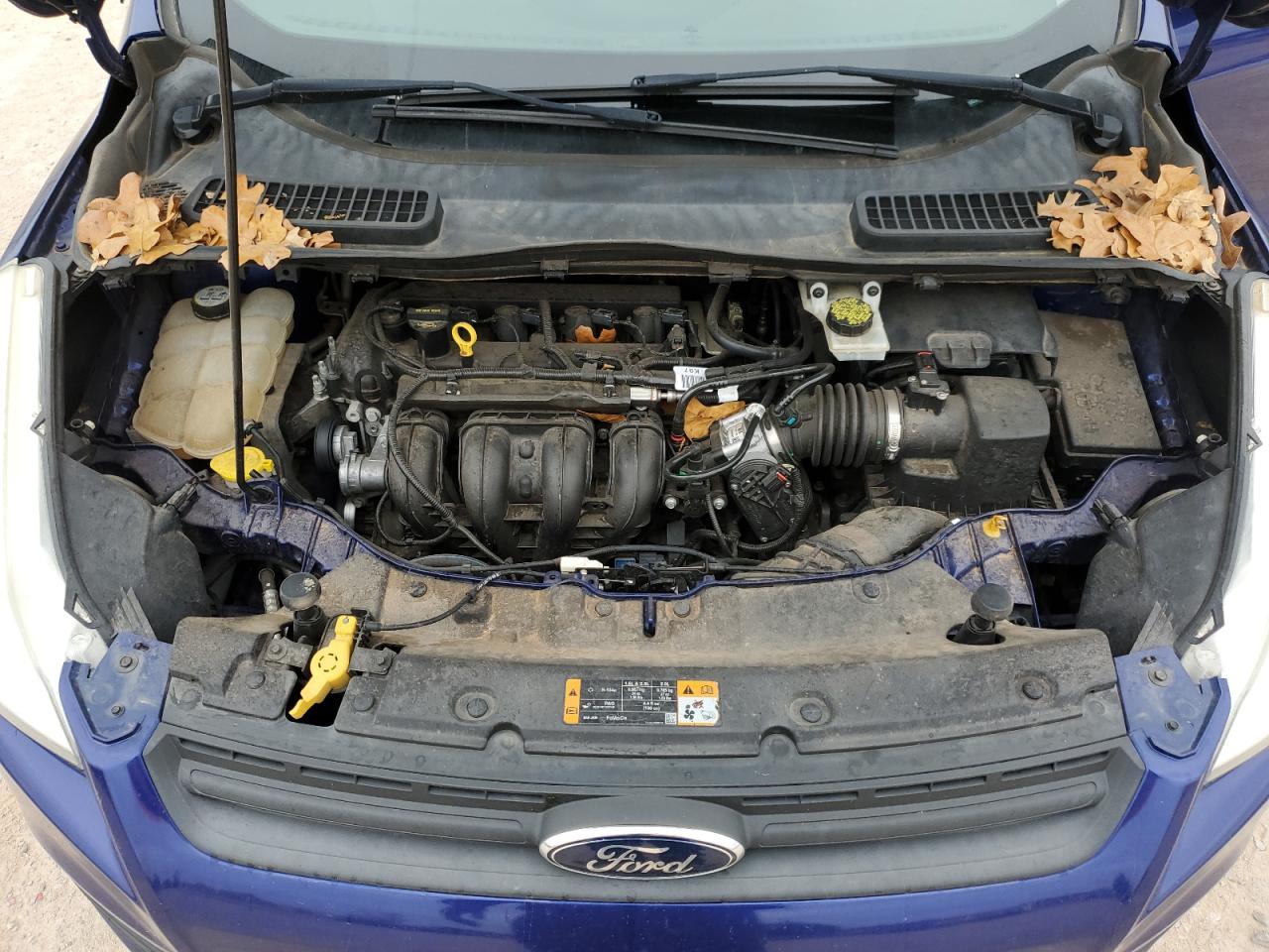 1FMCU0F77DUC13740 2013 Ford Escape S