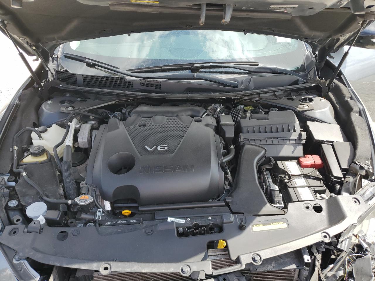 1N4AA6CVXLC361563 2020 Nissan Maxima Sv