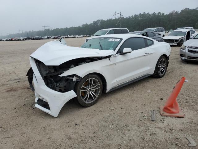 2017 Ford Mustang VIN: 1FA6P8TH1H5255797 Lot: 51624214