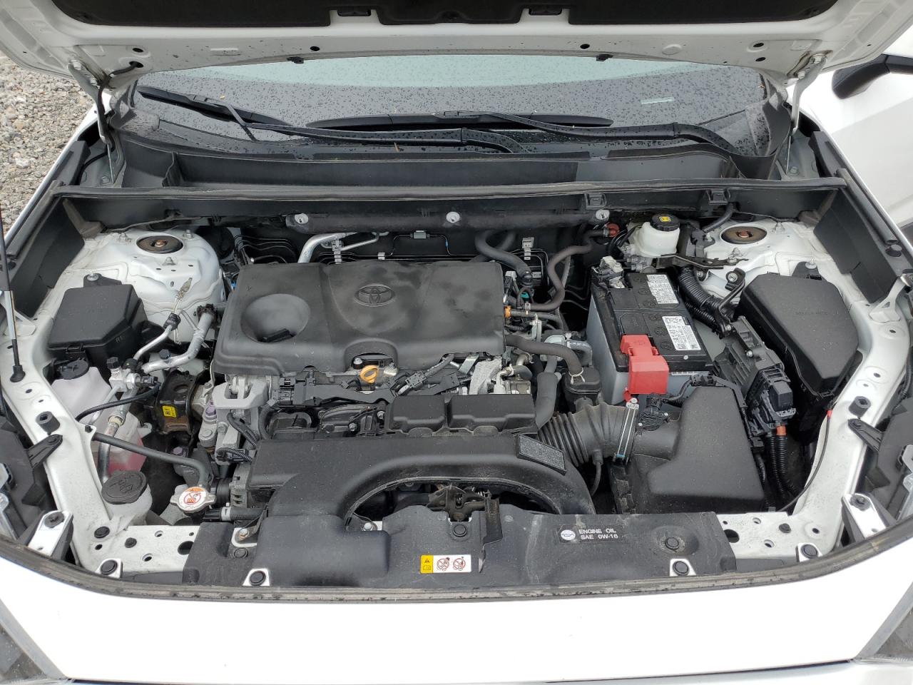 2T3G1RFV5MC172742 2021 Toyota Rav4 Le