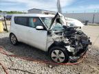 KIA SOUL photo