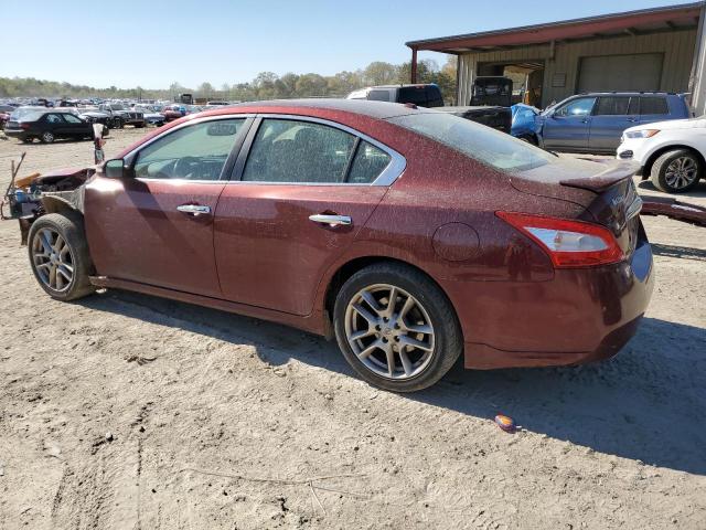 2010 Nissan Maxima S VIN: 1N4AA5AP8AC803333 Lot: 50592164