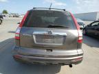 HONDA CR-V EX photo