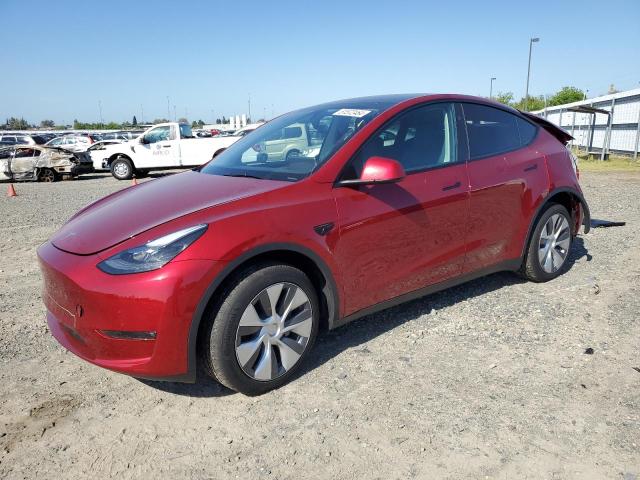 2024 Tesla Model Y VIN: 7SAYGDEE1RF003145 Lot: 51572464