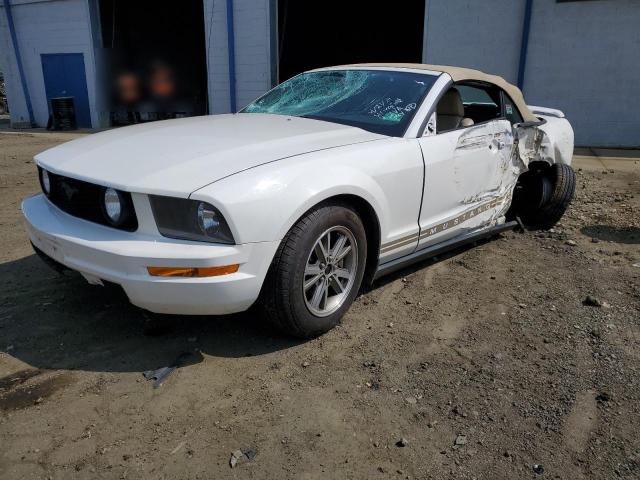 Lot #2535920855 2005 FORD MUSTANG salvage car