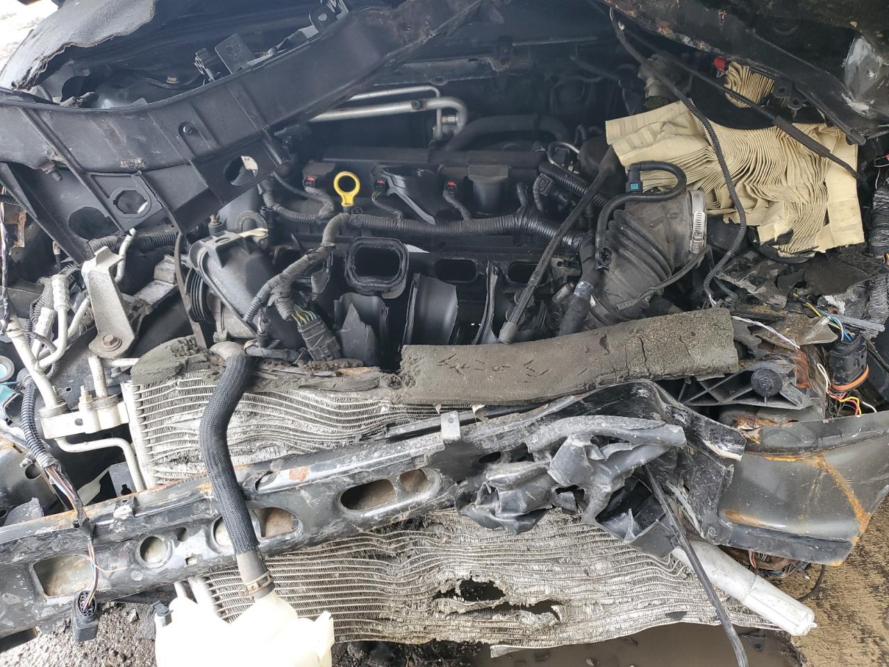 1FADP3F28EL204984 2014 Ford Focus Se