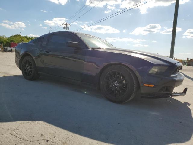 2014 Ford Mustang VIN: 1ZVBP8AM1E5330239 Lot: 52278674