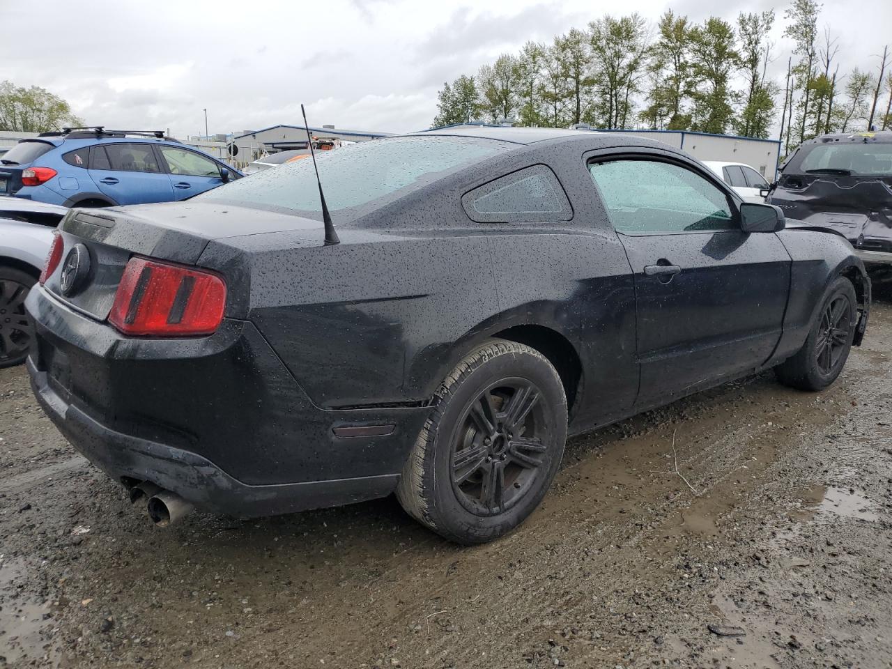 1ZVBP8AM2B5117733 2011 Ford Mustang