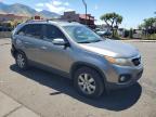 KIA SORENTO BA photo