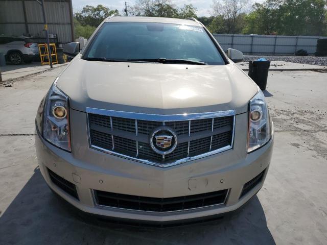 2010 Cadillac Srx Luxury Collection VIN: 3GYFNAEY5AS620895 Lot: 50096224