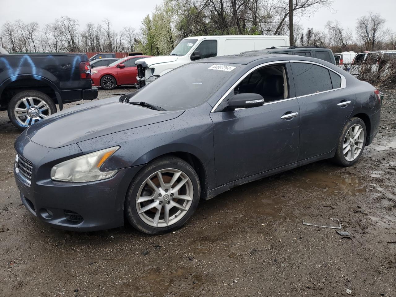 1N4AA51E39C848724 2009 Nissan Maxima S