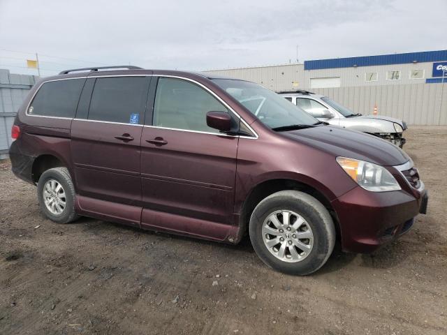 2009 Honda Odyssey Ex VIN: 5FNRL38459B407611 Lot: 48271224