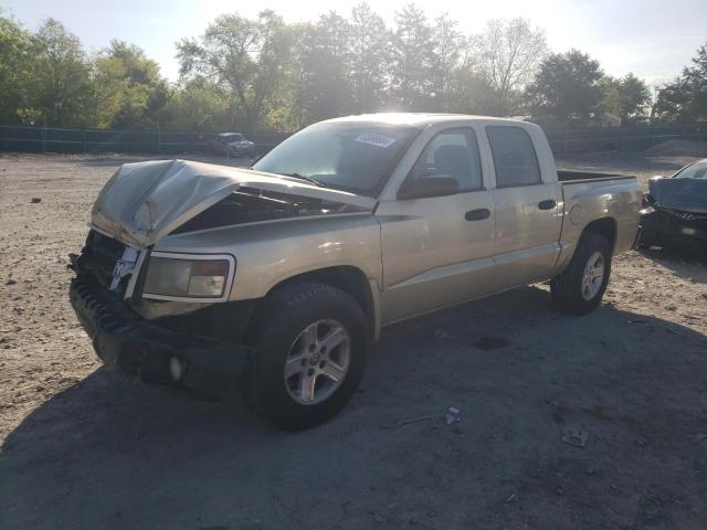 Lot #2519761313 2011 DODGE DAKOTA SLT salvage car