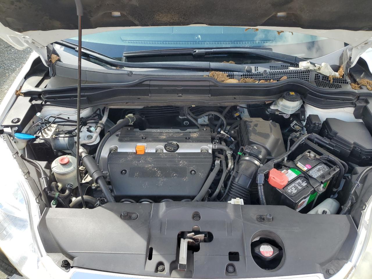 JHLRE38777C043614 2007 Honda Cr-V Exl