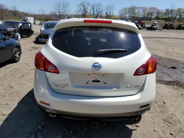 2010 Nissan Murano S VIN: JN8AZ1MW6AW101996 Lot: 52309694