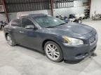 Lot #3023814869 2012 NISSAN MAXIMA S