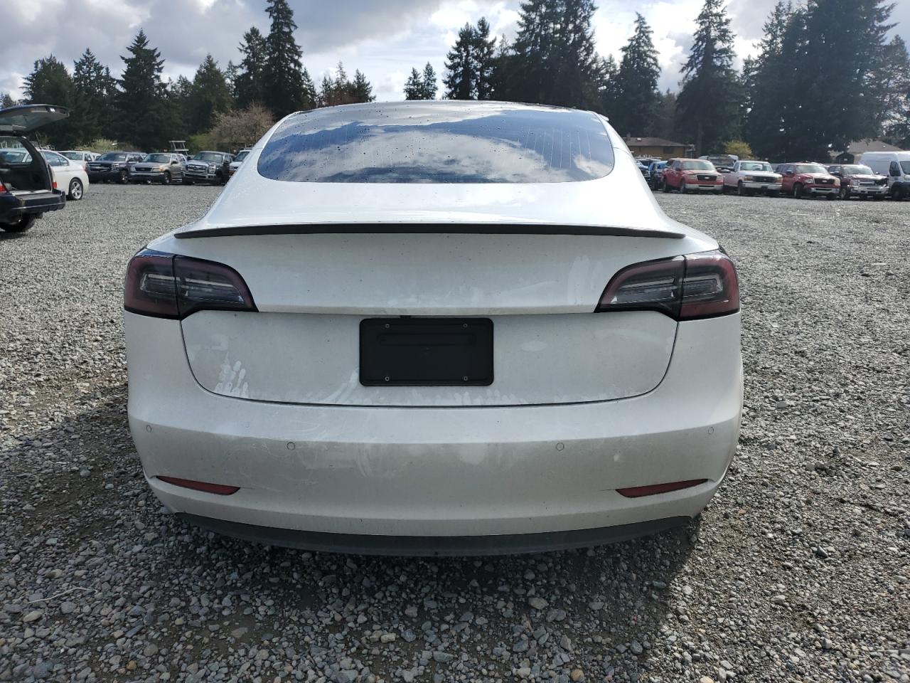 5YJ3E1EC8LF736262 2020 Tesla Model 3