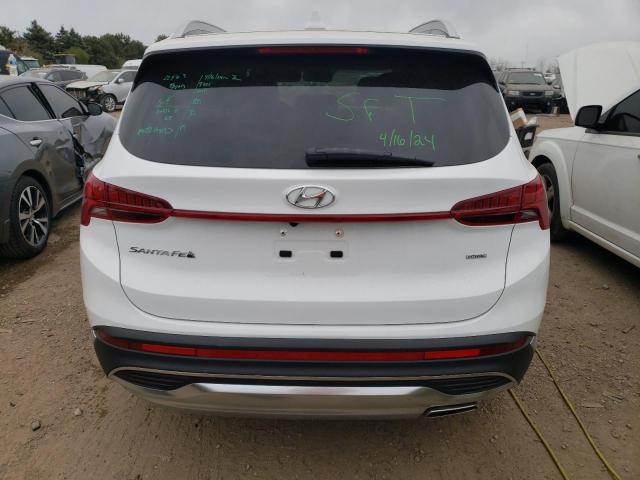 2023 Hyundai Santa Fe Sel Premium VIN: 5NMS3DAJ6PH646670 Lot: 51953534