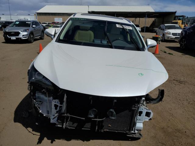 2019 Lexus Nx 300H VIN: JTJBJRBZ9K2117876 Lot: 50726874