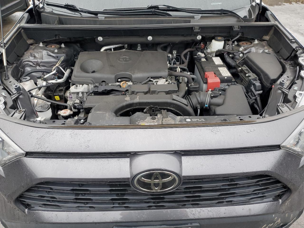 2T3F1RFV6KW028687 2019 Toyota Rav4 Le