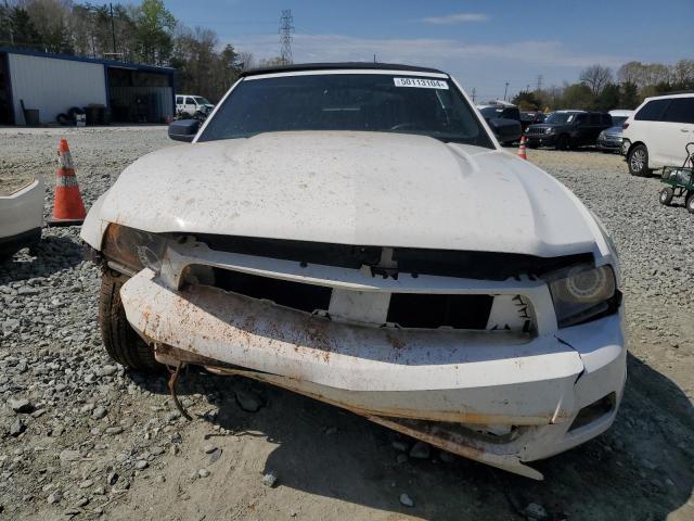 2010 Ford Mustang VIN: 1ZVBP8EN3A5170233 Lot: 50113104