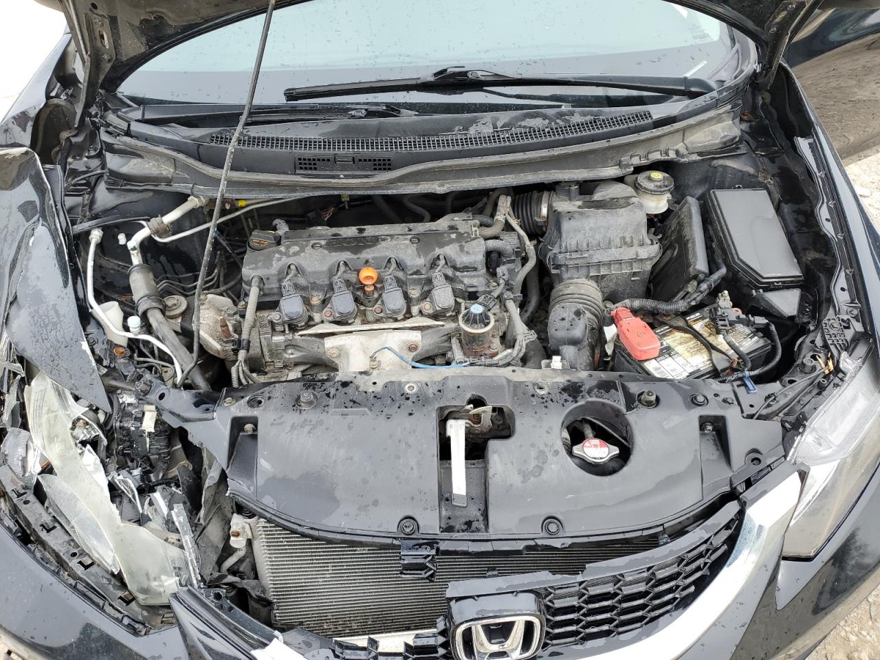 19XFB2F9XDE031453 2013 Honda Civic Exl