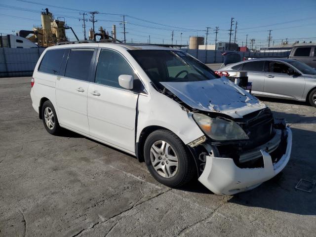 2007 Honda Odyssey Exl VIN: 5FNRL38677B438731 Lot: 43061714