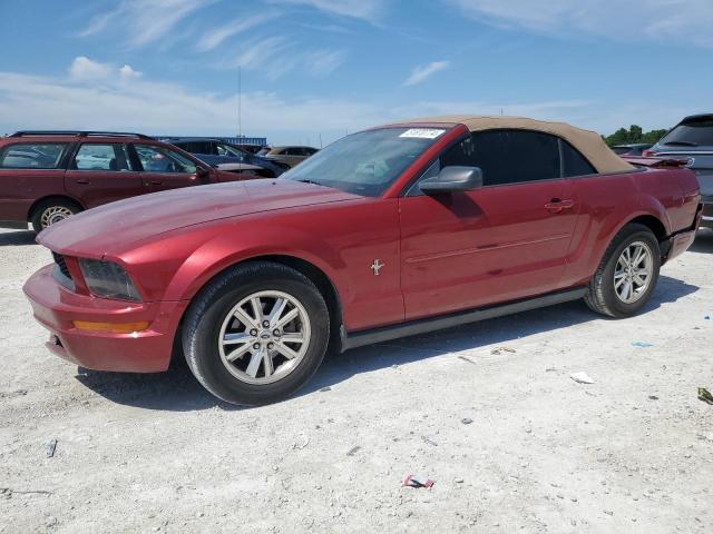 2007 Ford Mustang VIN: 1ZVFT84N975260767 Lot: 51870774