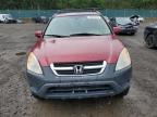 HONDA CR-V EX photo