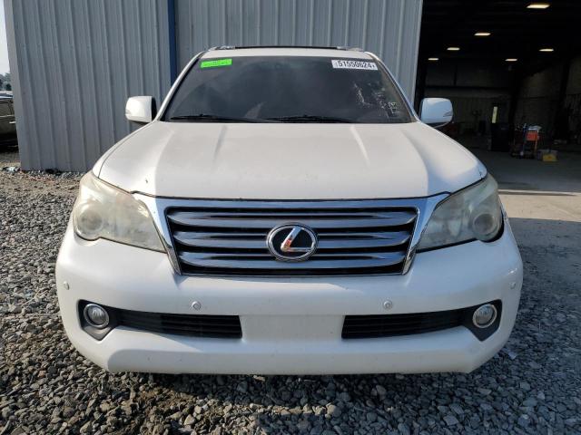 2011 Lexus Gx 460 VIN: JTJBM7FX9B5029932 Lot: 51550624