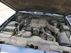 Lot #3034521745 2004 FORD CROWN VICT