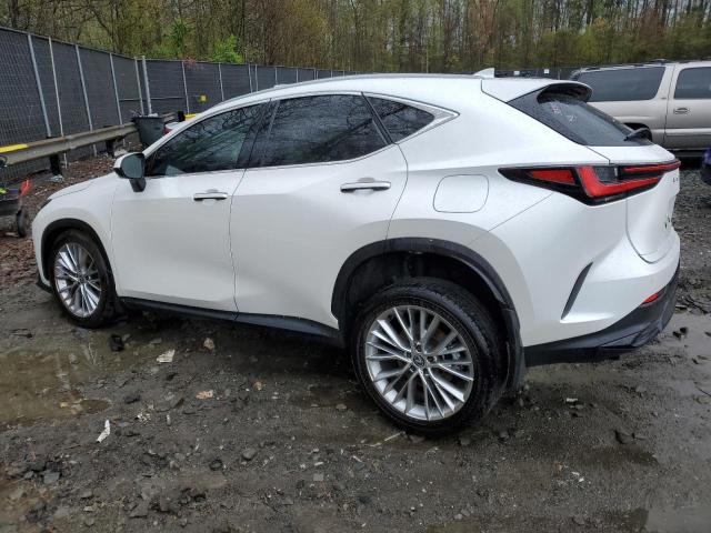 2024 LEXUS NX 350 LUX 2T2HGCEZ3RC035721