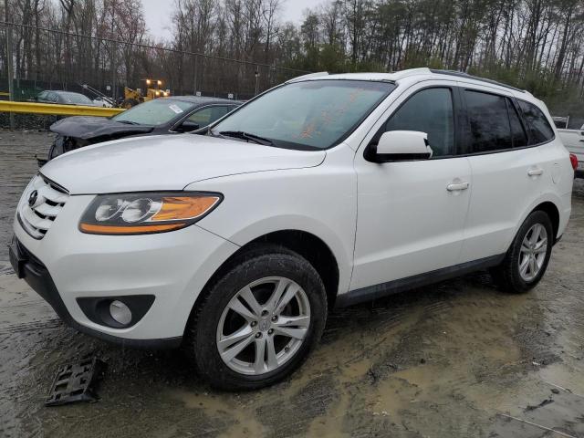 Lot #2501393943 2010 HYUNDAI SANTA FE salvage car