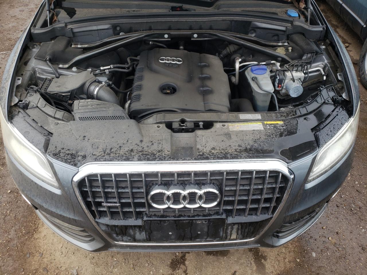 WA1CFAFP1DA042628 2013 Audi Q5 Premium