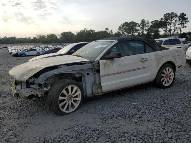 Lot #2477569466 2007 FORD MUSTANG salvage car