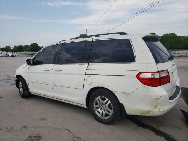 2005 Honda Odyssey Exl VIN: 5FNRL38685B000684 Lot: 52602934