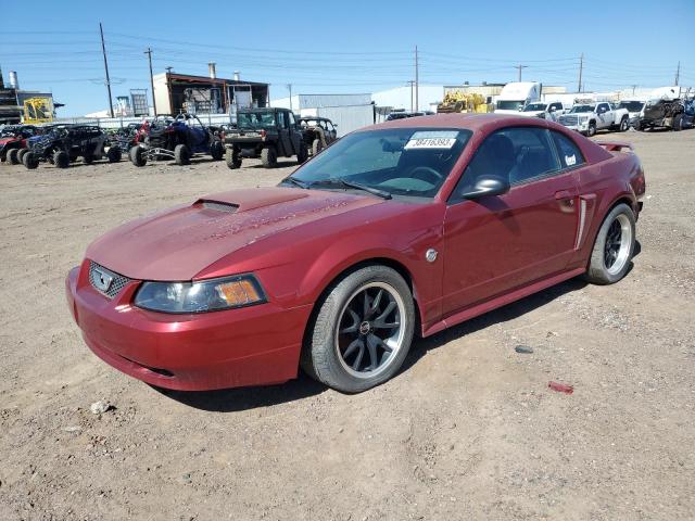 Lot #2487438501 2004 FORD MUSTANG GT salvage car