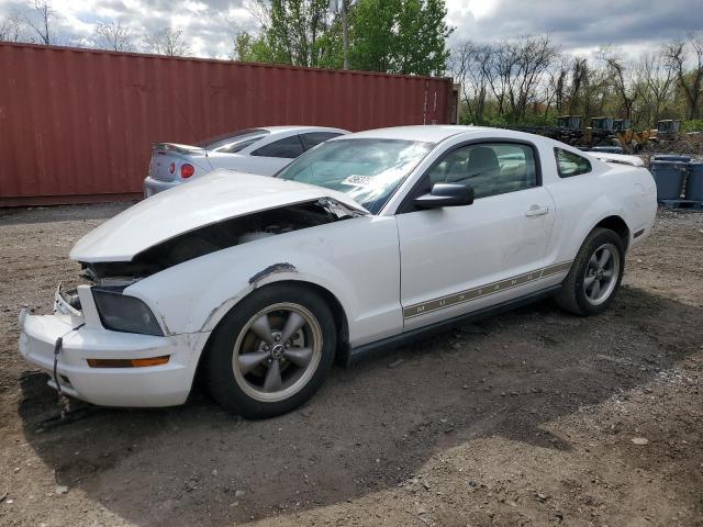 2006 Ford Mustang VIN: 1ZVFT80N065226933 Lot: 49637554