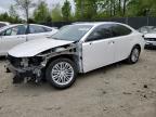 2017 LEXUS ES 350 - 58ABK1GG8HU044638