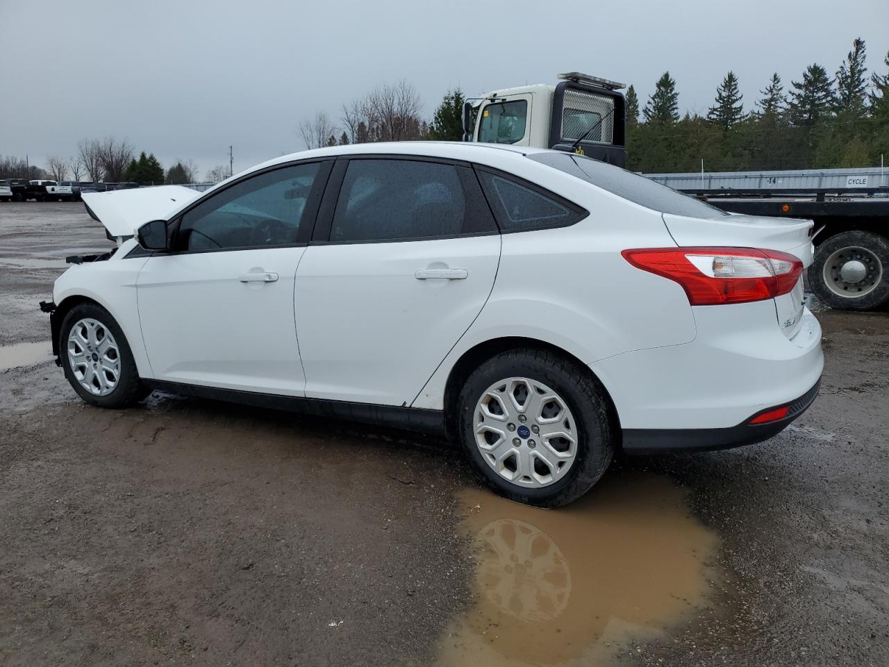 1FADP3F29DL356366 2013 Ford Focus Se