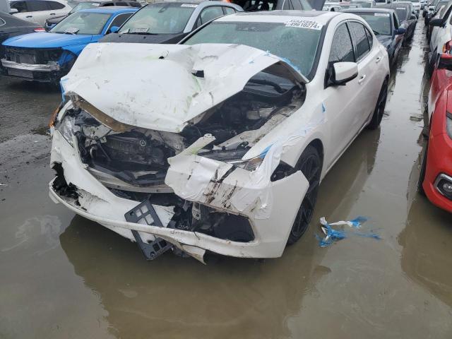 Lot #2443392850 2016 ACURA TLX TECH salvage car
