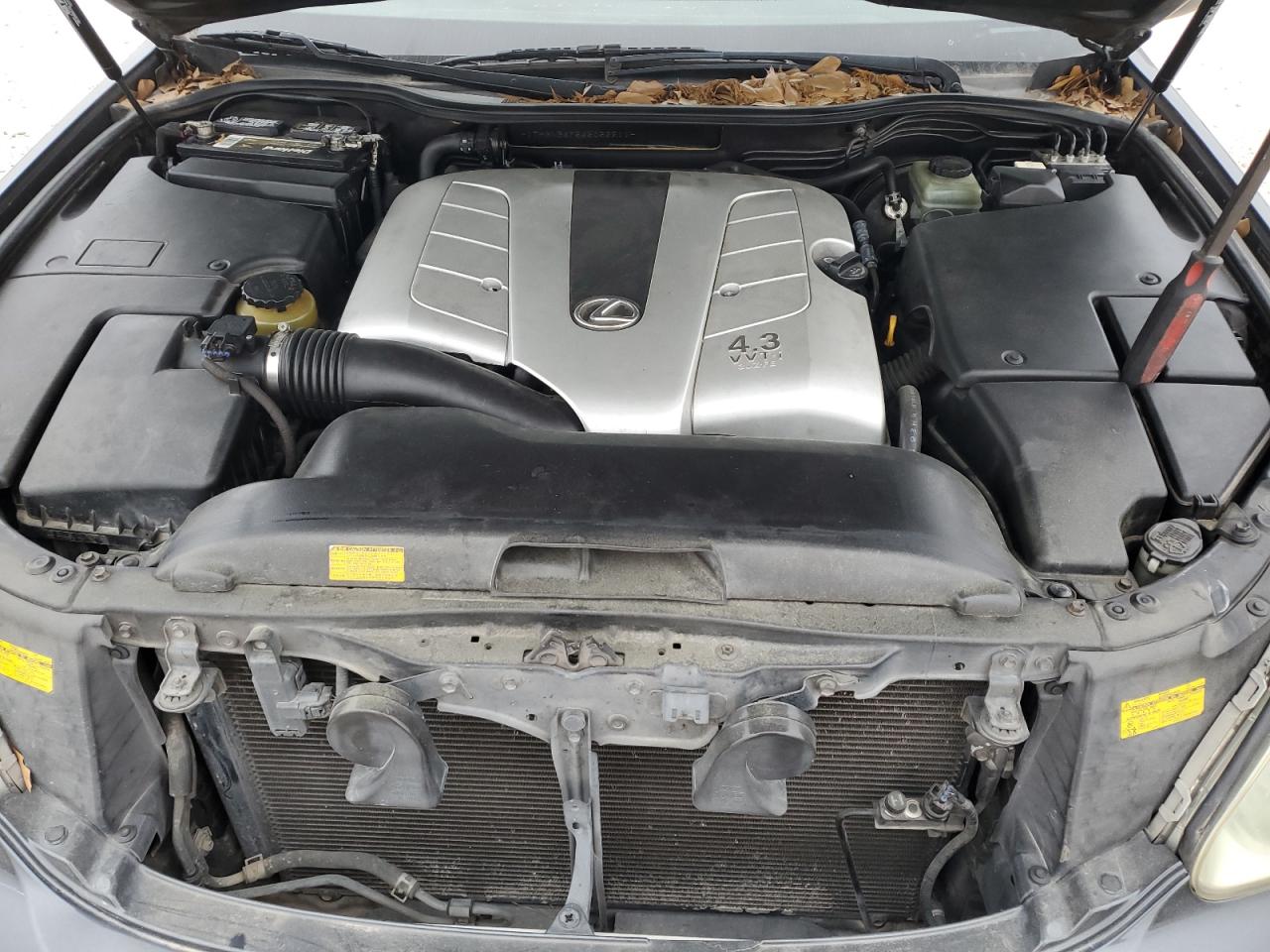 JTHBN36F565052211 2006 Lexus Ls 430