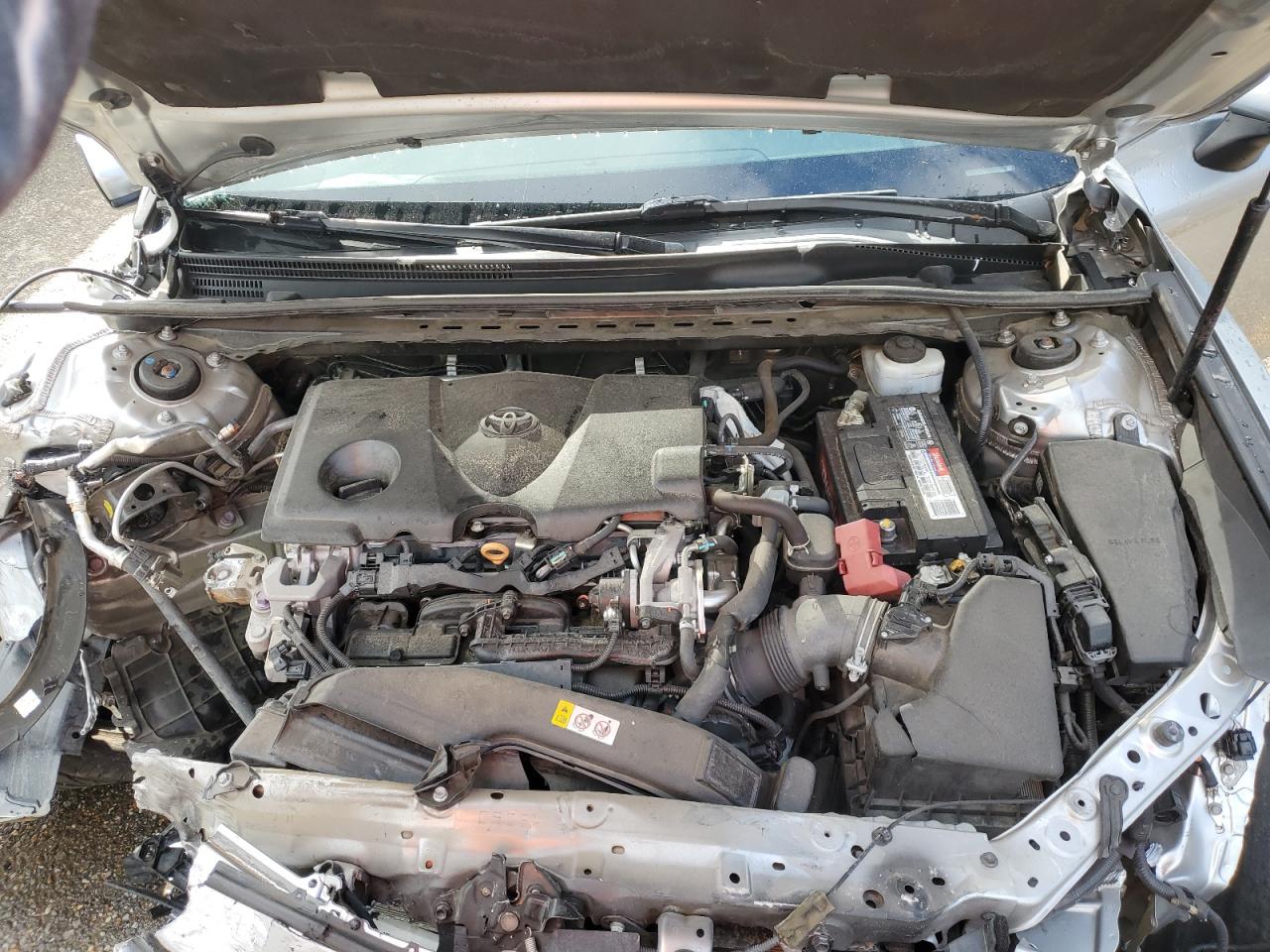 4T1B11HKXKU185036 2019 Toyota Camry L