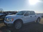 FORD F150 SUPER photo