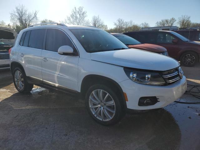 2013 Volkswagen Tiguan S VIN: WVGBV3AX7DW559678 Lot: 50301394