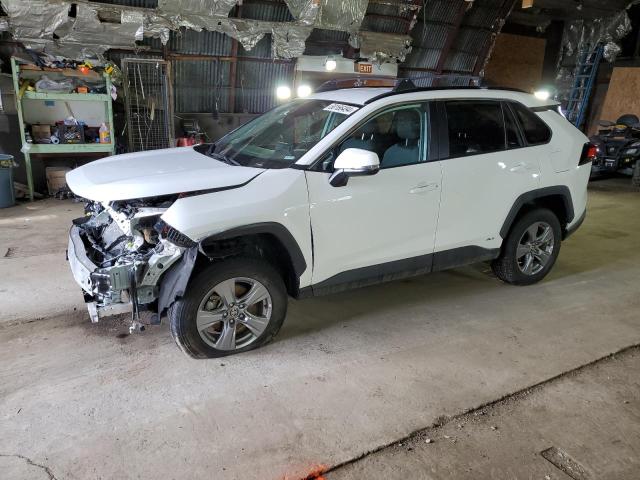 Lot #2457115542 2023 TOYOTA RAV4 XLE salvage car