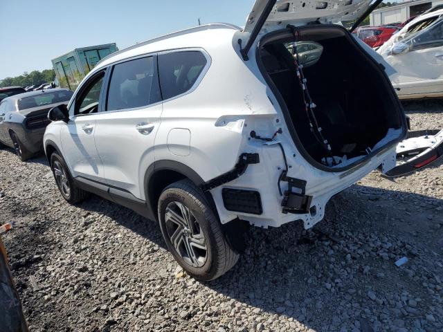 2023 Hyundai Santa Fe Sel VIN: 5NMS2DAJ8PH651629 Lot: 51061554