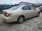 LEXUS ES 300 photo