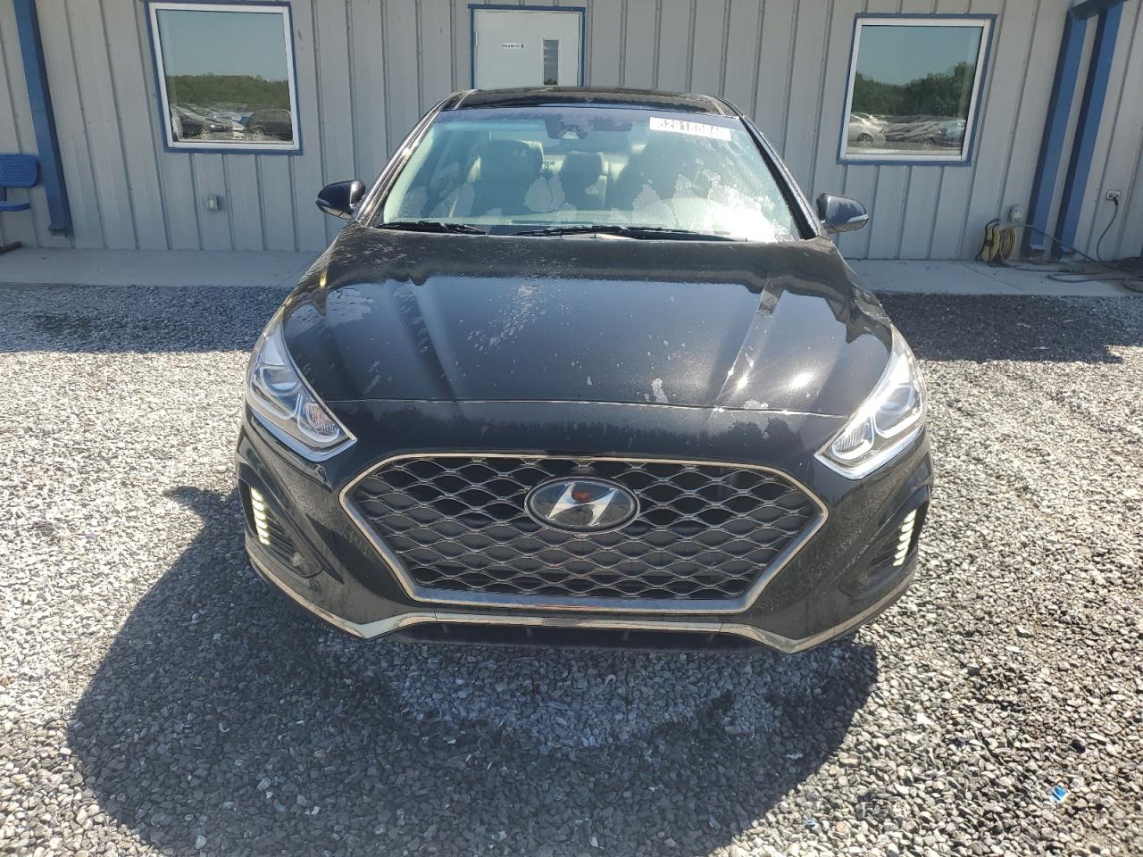 5NPE34AF1KH750245 2019 Hyundai Sonata Limited